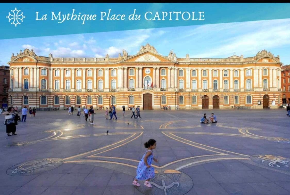L Oasis Studio Proche Hopital Et Aeroport Piscine Parking &Netflix Toulouse Eksteriør billede