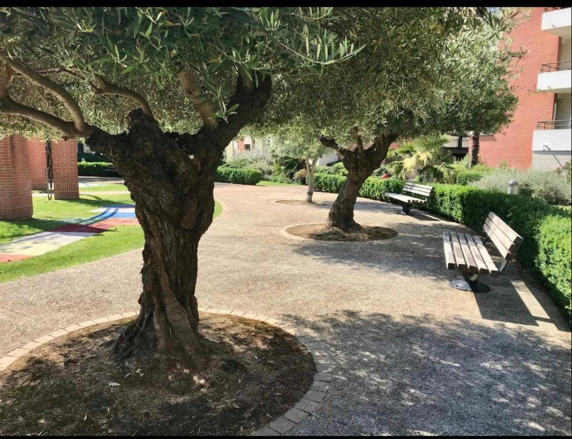 L Oasis Studio Proche Hopital Et Aeroport Piscine Parking &Netflix Toulouse Eksteriør billede